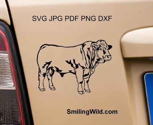 Limousin SVG Clipart - Beef Bull Vector Art Cutting File