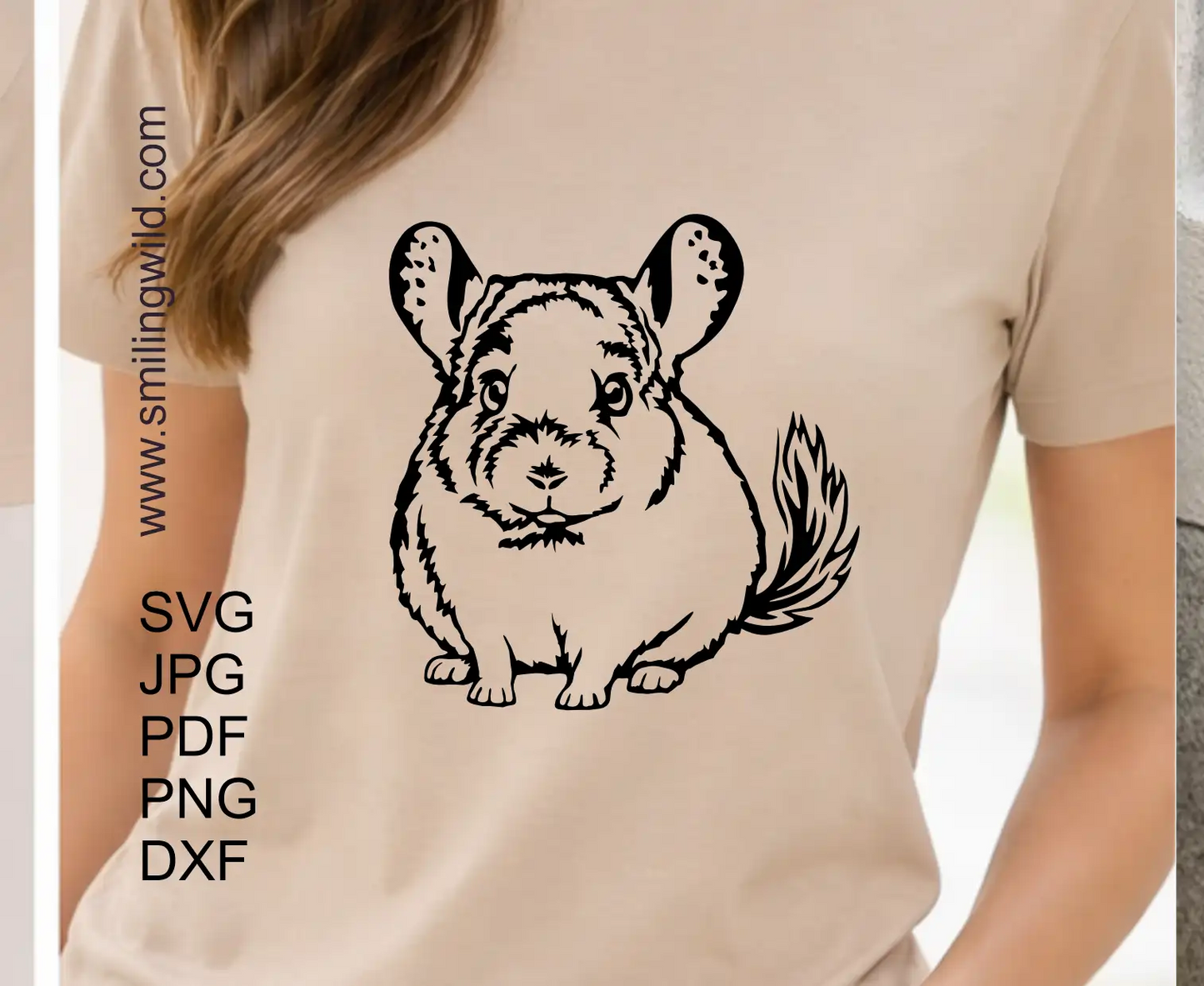 Chinchilla SVG PNG DXF Clipart-Bild - Vektorschneiddatei