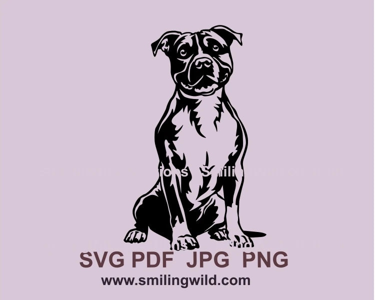 Sitting and ssmiling American Staffordshire terrier black graphic