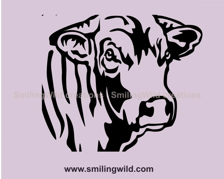 Blonde d'Aquitaine bull head close up