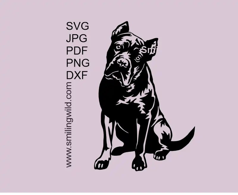 Cane Corso full body sitting dog SVG PNG DXF vector clipart digital design for Cricut, Silhouette and laser cutting projects