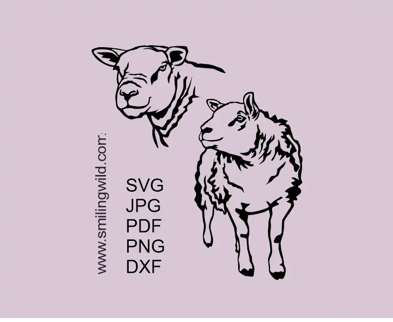 Texel ram SVG PNG DXF sheep vector clipart for Cricut, Silhouette, and laser cutting projects