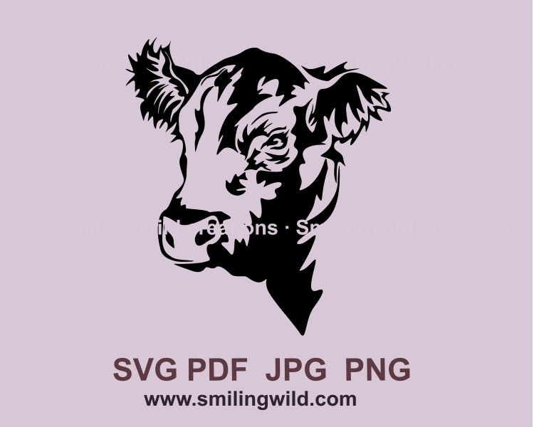 Black angus bull svg clip art head design, Farm Animal cuttable vector portrait