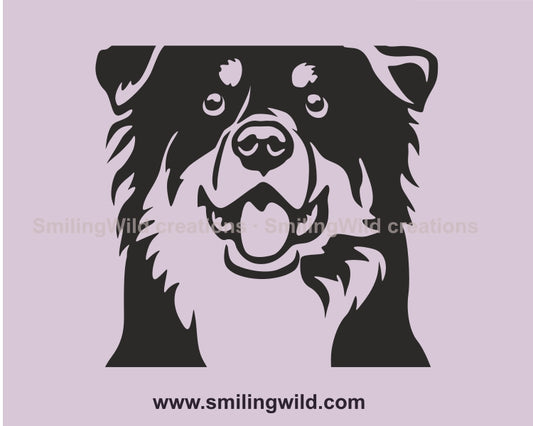 Australian Shepherd SVG-Porträt, schwarz-brauner Hund, Vektorgrafik-Clipart