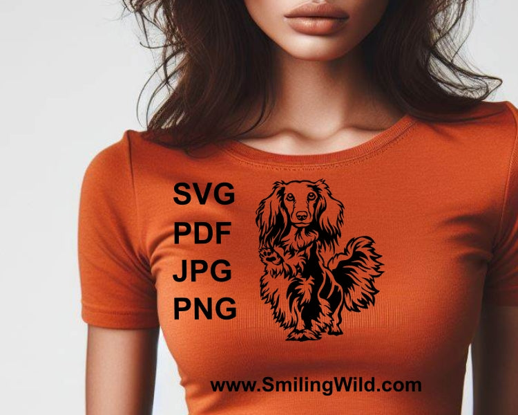 Long haired dachshund svg clip art