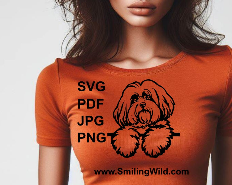 Coton de Tuléar SVG Hund Vektorgrafik ClipArt