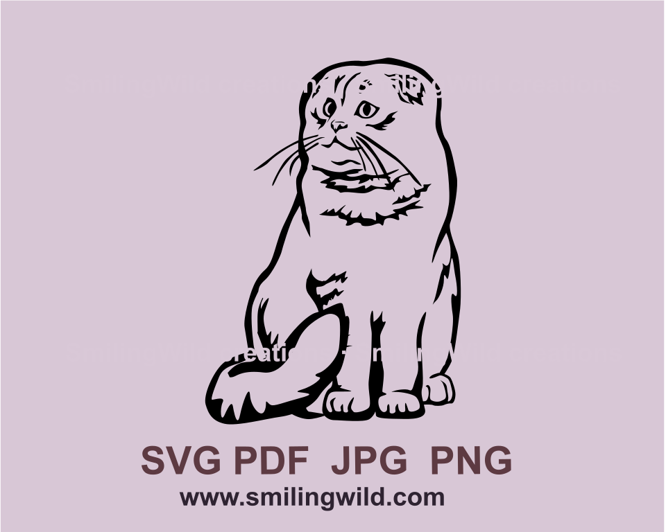 Sitting Scottish Fold cat in vector graphic style