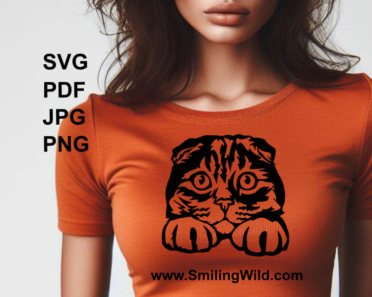 Scottish Fold cat vector graphic printed on a t shirt