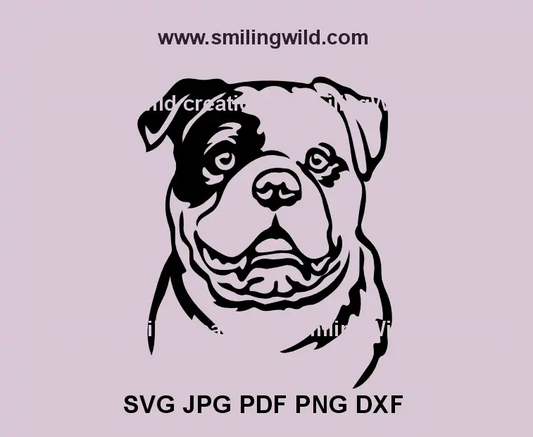 American Bulldog dog head black SVG – ideal for vinyl decals and Cricut designs