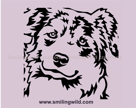 peeking australian shepherd face