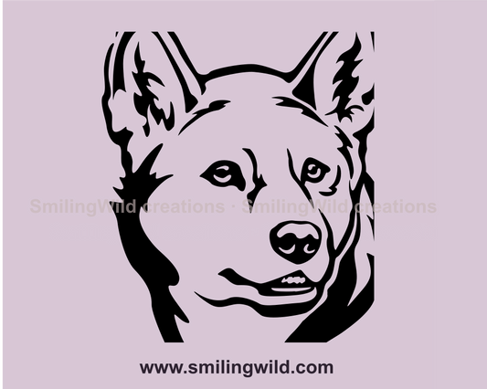 australian animal dingo close up image