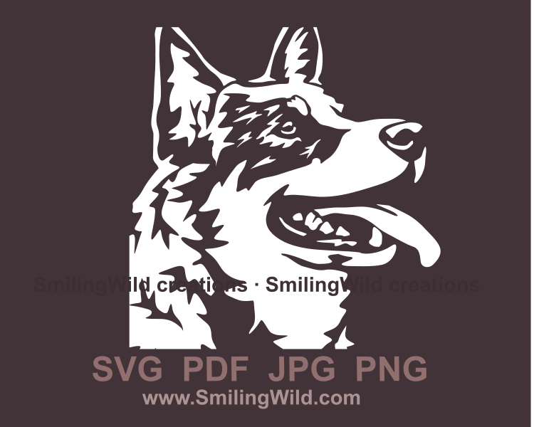 australian cattle dog vector image in line art style