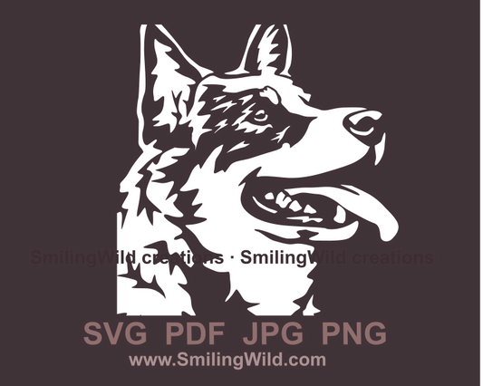 australian cattle dog vector image in line art style