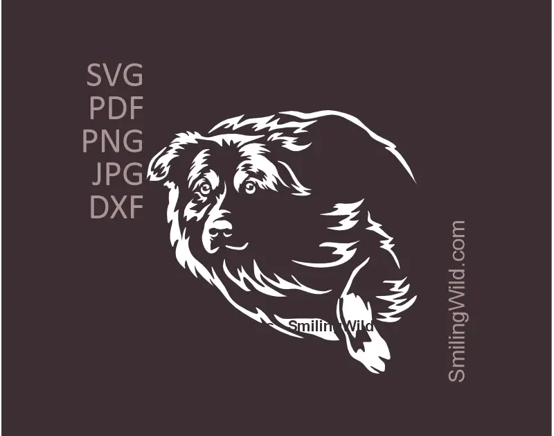 Vector image showcasing a white herding Australian Shepherd clipart, SVG, PNG, DXF files for Cricut, laser cutting, cuttable design, and digital crafts