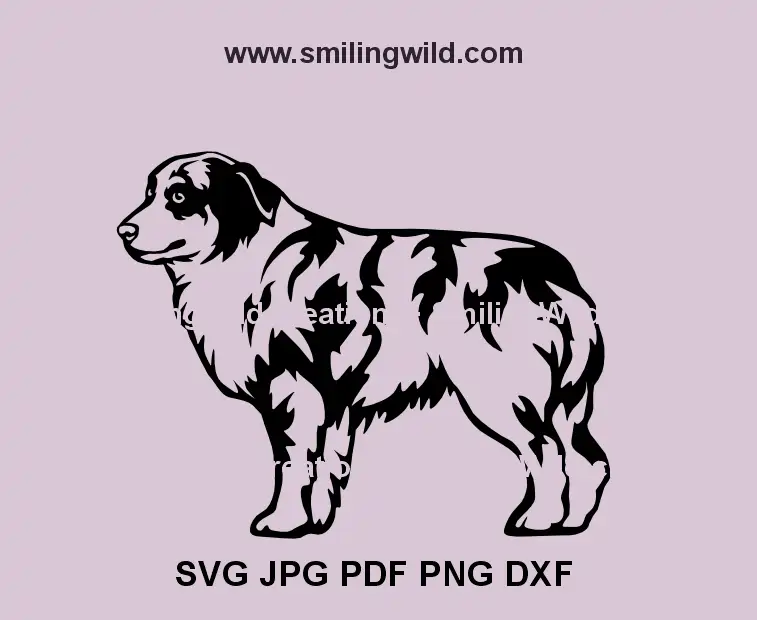 Australian Shepherd full body SVG for Cricut and laser cutting projects