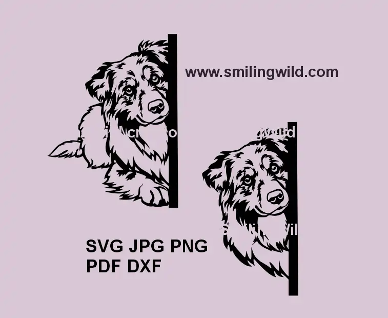 Peeking Australian Shepherd SVG, png and dxf design for Cricut and laser cutting projects