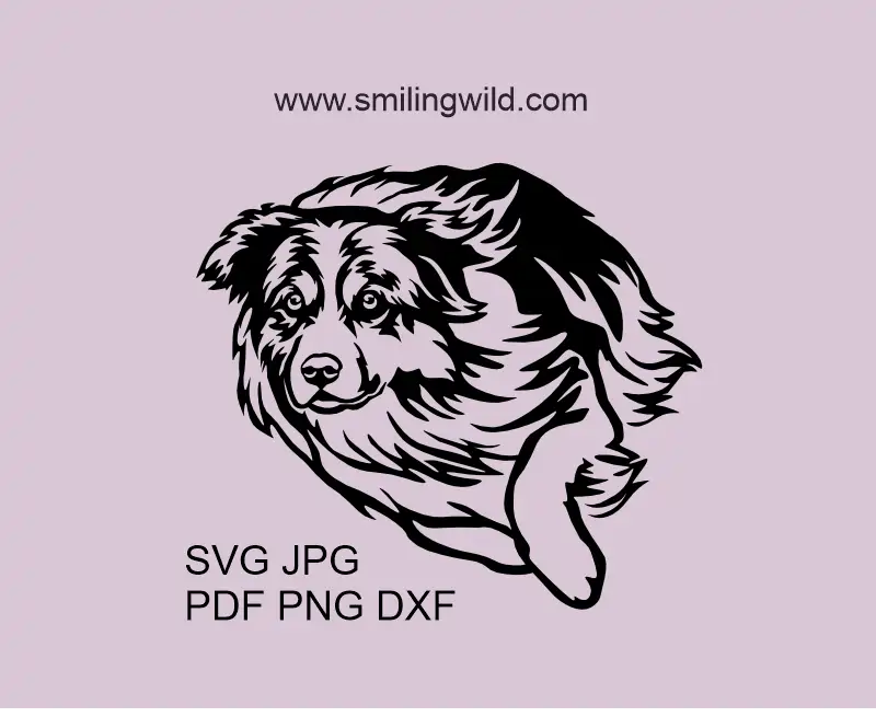 Herding Australian Shepherd dog SVG PNG DXF clipart vector file for Cricut crafts and smooth laser cutting in running position