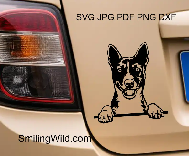 a car sticker showing a peeking Basenji dog head vector portrait – DXF and PNG clipart for cutting crafts