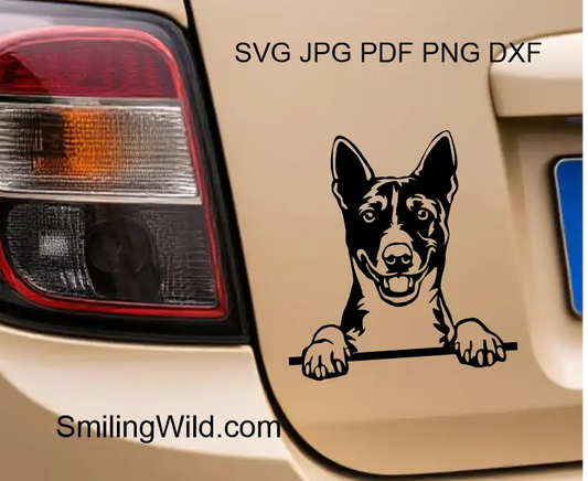 a car sticker showing a peeking Basenji dog head vector portrait – DXF and PNG clipart for cutting crafts