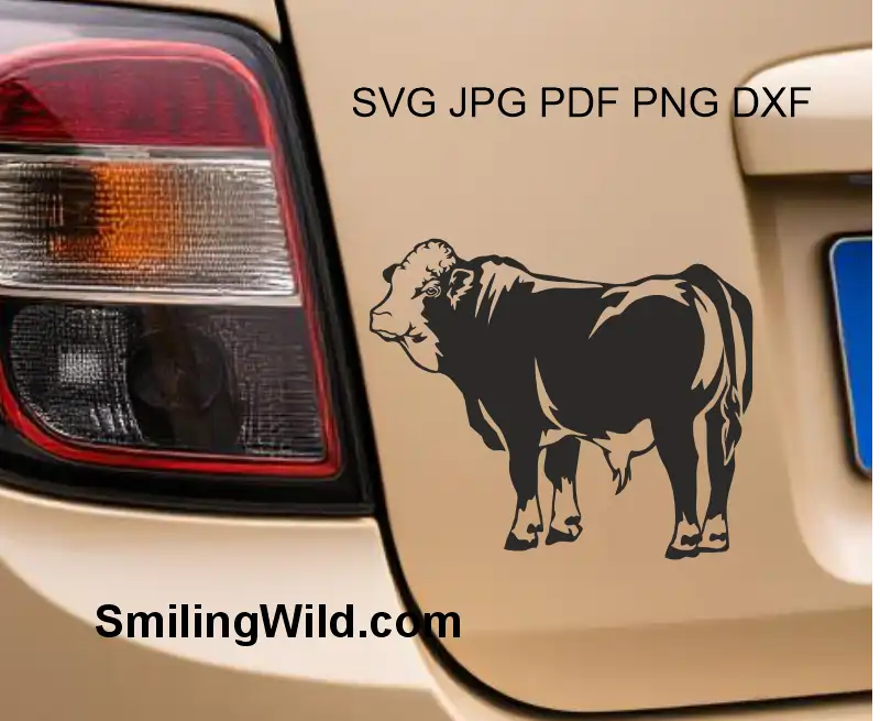 A car sticker of a Beef cattle Simmental bull made using black vector graphic SVG PNG DXF cut files for digital crafting machines