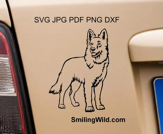 White Swiss Shepherd / Berger blanc Suisse vector artwork preview for cutting presenting full body standing dog SVG PNG DXF files