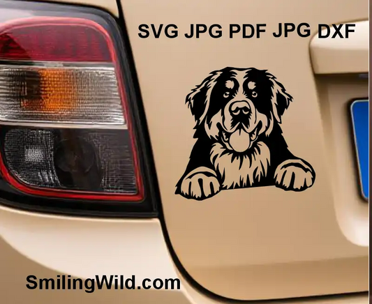a ar sticker made of Digital cut file of Bernese Mountain Dog clipart optimized for laser cutting and engraving machines