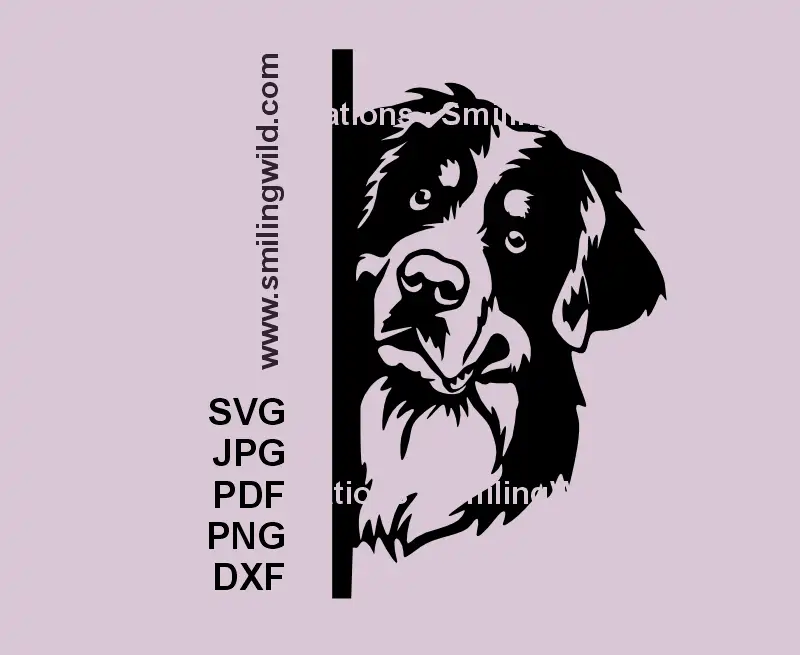 Bernese Mountain Dog SVG corner design – black vector peeking dog clipart drawing for Cricut and laser cutting machines