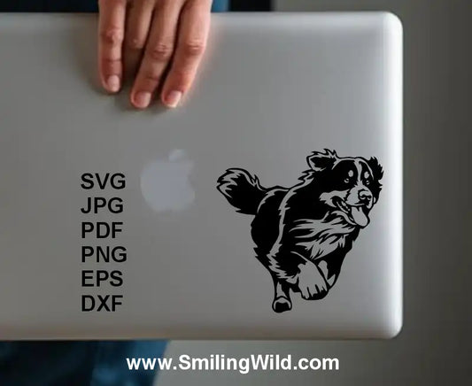 Bernese mountain dog svg png dxf clipart design on a laptop cover made in vinyl black sticker