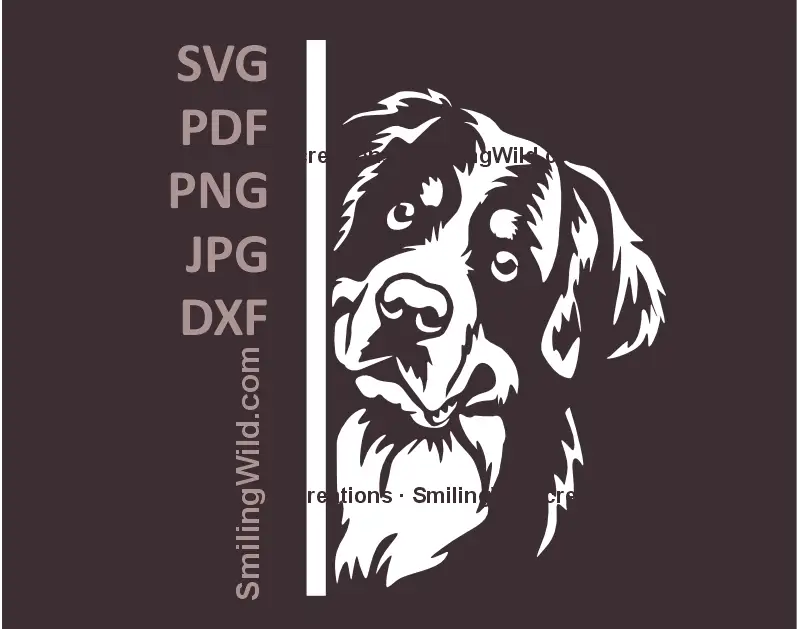 Bernese Mountain Dog SVG black and white corner clipart – peeking dog vector design for Cricut and laser cutting