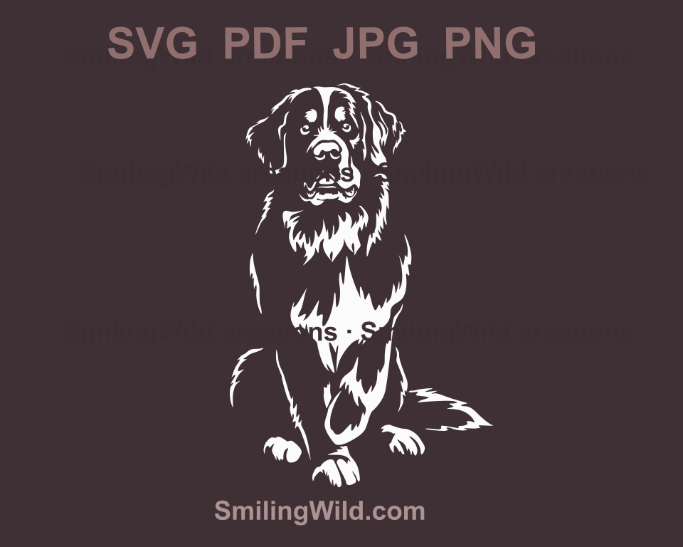 Realistic Bernese Mountain Dog SVG and PNG clipart, perfect for laser cutting and digital crafting