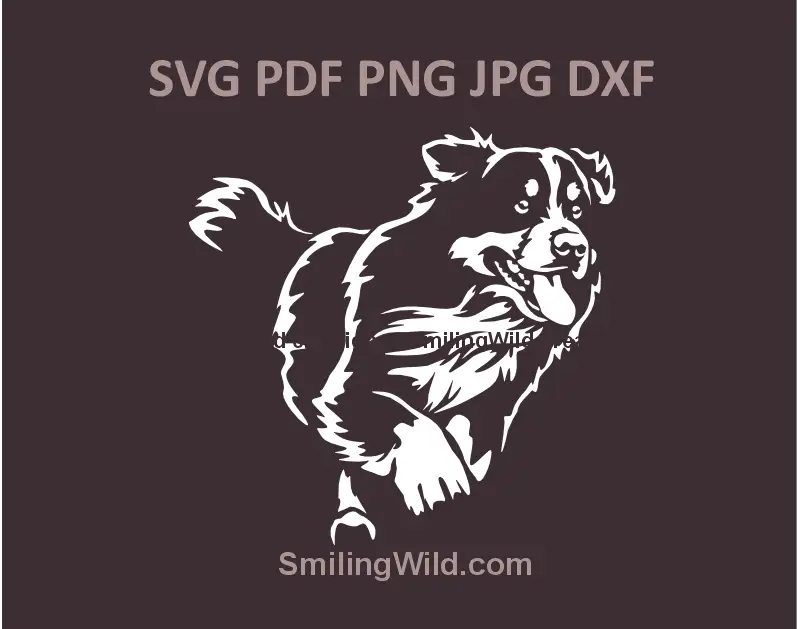 White SVG of a running Bernese Mountain Dog for Cricut and laser cutting