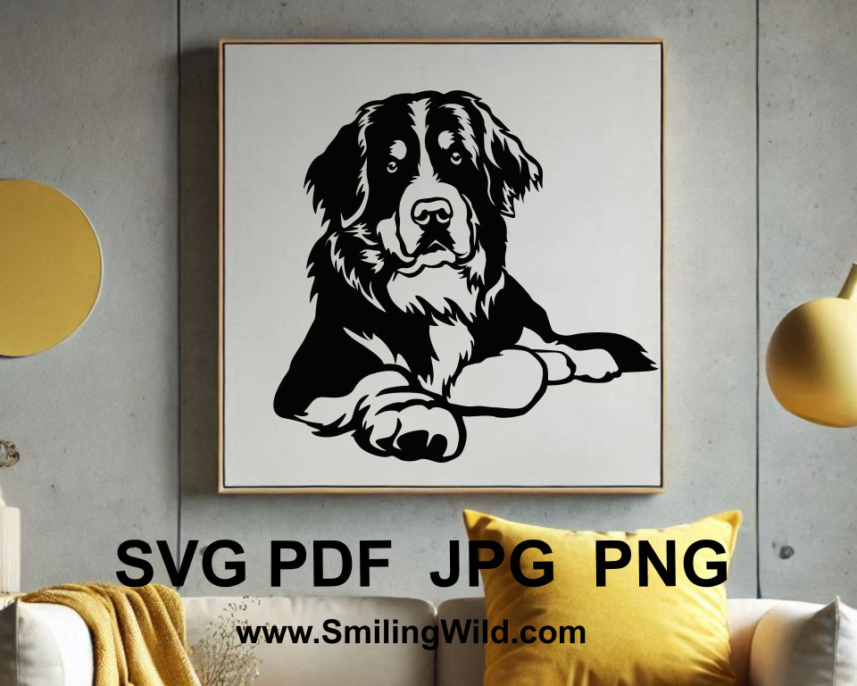 Bernese mountain dog realistic clipart digital design for easy download and crafting on Cricut and laser