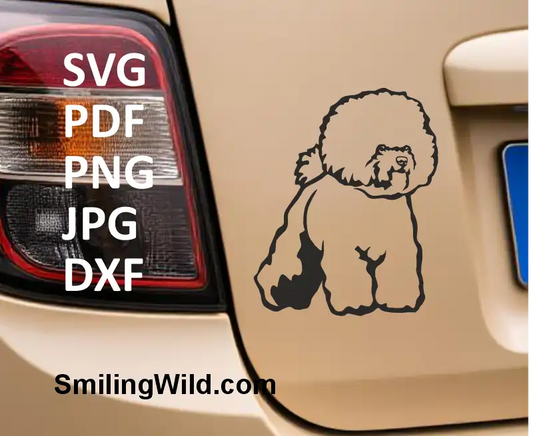 Car sticker showing Bichon Frise dog SVG, DXF vector cut file – compatible with Cricut and crafting machines