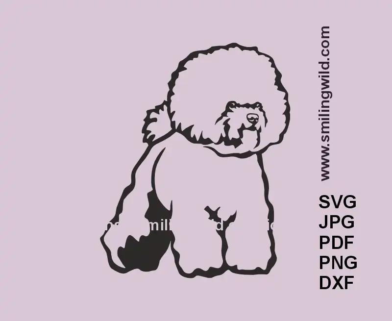 Realistic Bichon Frise full body SVG graphic – dog clipart for laser cutting and engraving