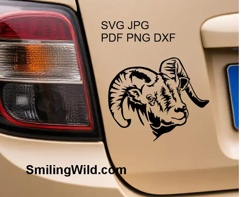 Mountain goat Bighorn Sheep digital design cut file for crafting, Cricut, and vinyl decals like this mocup image showing a car decal