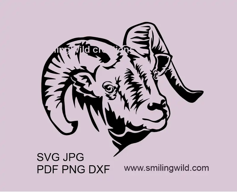 Bighorn Sheep SVG PNG DXF head portrait showcasing a wild mountain goat vector graphic for Cricut and laser cutting projects