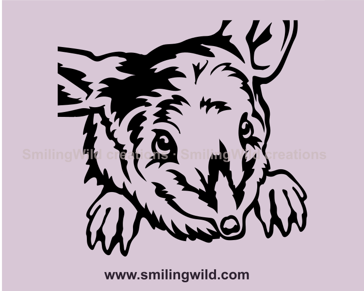 bilby portrait in clip art style