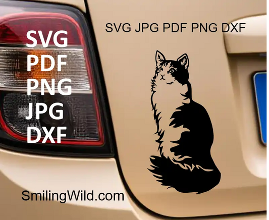 A car sticker representing Black and white tuxedo cat vector clipart, SVG PNG DXF, digital design cut file for crafting and engraving