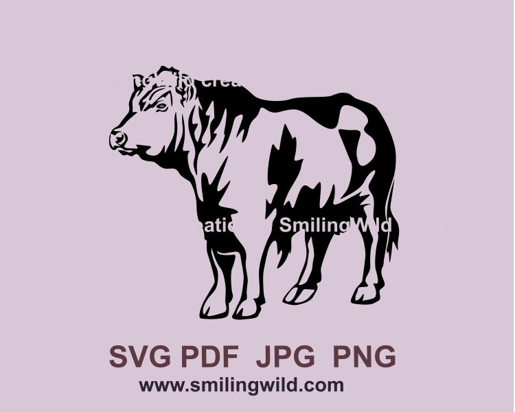 Black Angus bull full body SVG PNG vector clip art for Cricut and laser cutting