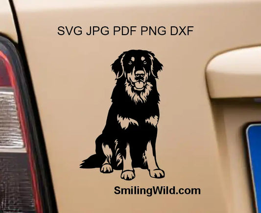 a car sticker showing the detail of both Black and Gold Hovawart design including svg, png, dxf and other vector file types for cutting, printing, engrapving and other crafts