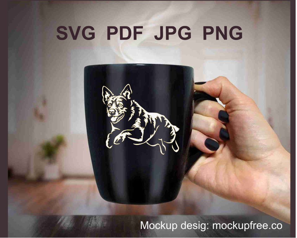 blue heeler agility jump white graphic image