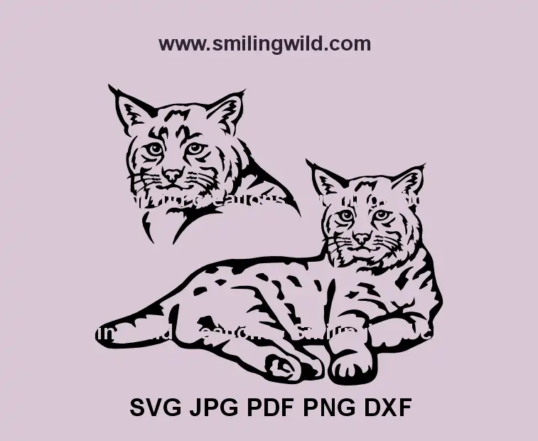 Bobcat face vector clipart – high-quality forest animal design for Cricut, laser cutting, and engraving projects