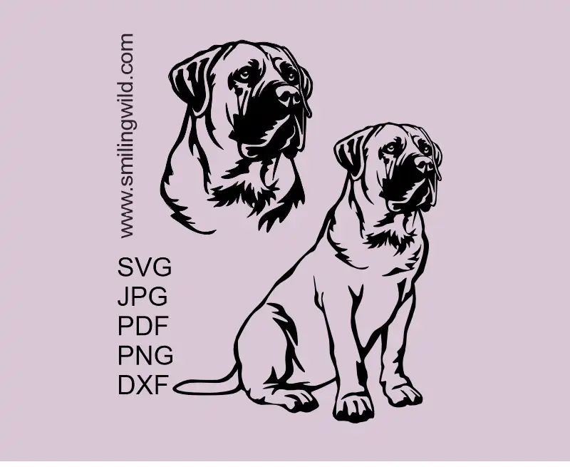 Boerboel dog SVG PNG DXF vector file, digital cuttable clipart design for Cricut and laser cutting projects offered in full body sitting position and a separate head.