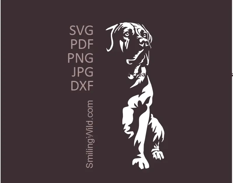 White sitting Boerboel dog vector SVG portrait for decal and Cricut cutting file.