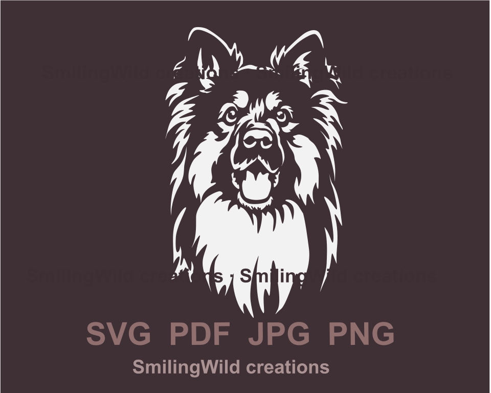 smiling bohemian shepherd svg portrait in white color