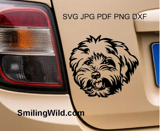 A car decal of Bolonka Zwetna dog face cut file SVG digital graphic for crafting and engraving