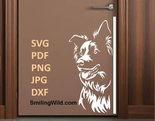 Peeking Border Collie vector – DXF and PNG files for laser engraving