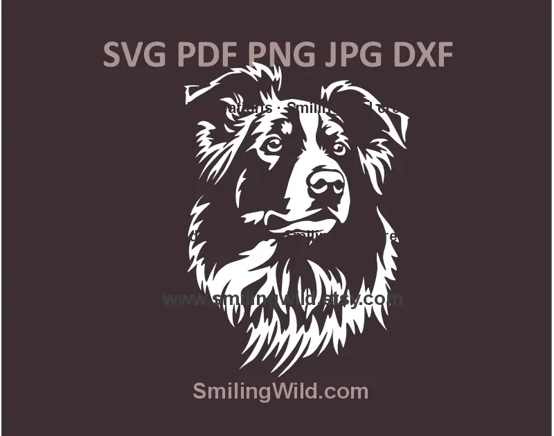 Border Collie dog SVG, png vector head portrait for Cricut and Laser Cutting projects