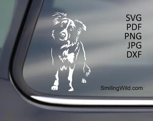 Standing Border Collie png and dxf vector illustration showing clean cut lines