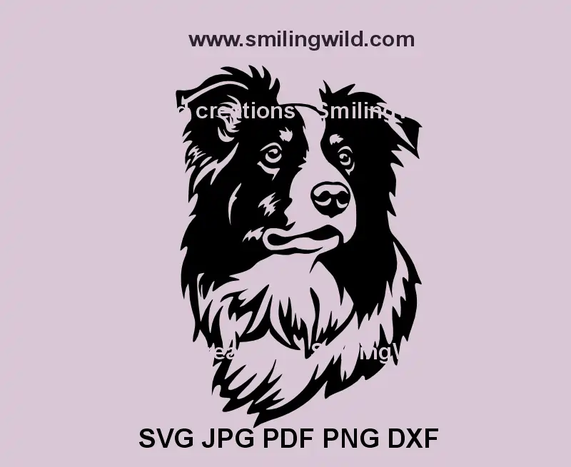 Border Collie Hund SVG, PNG & DXF Black Head Clipart – Hunde-Vektorgrafik für Cricut, Laserschneiden und Gravieren